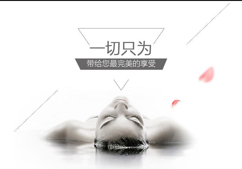 新欧洲之星原装进口28kw壁挂炉