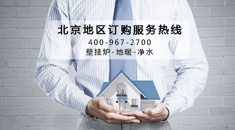欧洲至臻燃气采暖98KW冷凝式壁挂炉